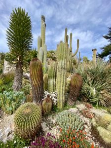 Visiter Eze jardin botanique