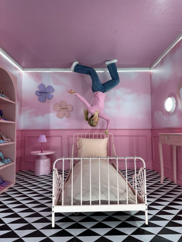 house of dreamers Paris insolite