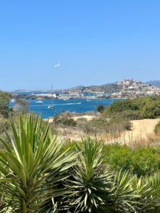 blog ibiza 2025