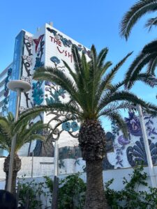 ushuaia où faire la fête à ibiza