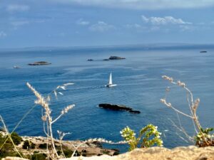 blog ibiza 2025