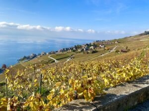 chexbres lavaux suisse blog