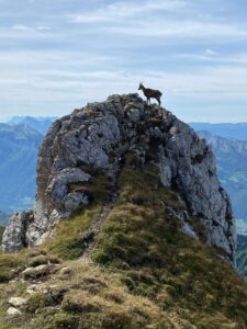 randonnées annecy tournette