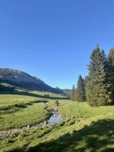 pas du roc randonnées autour d'annecy