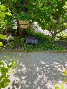 jardin des 5 sens yvoire