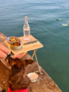 guinguette des cassines