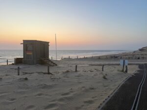 sunset cap ferret