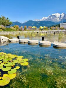 piscine combloux biotope