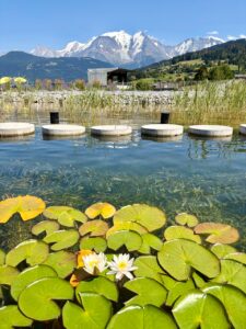 piscine combloux biotope