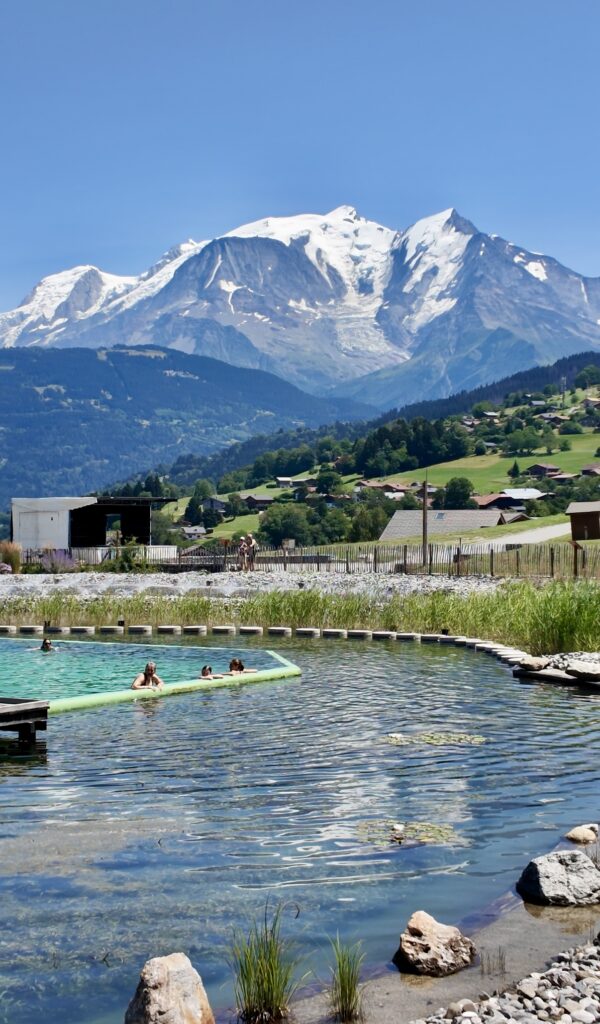 piscine combloux biotope