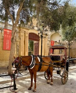 Mdina Malta visiter Malte