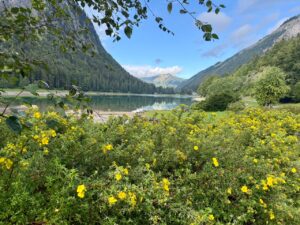lac de montriond haute-savoie