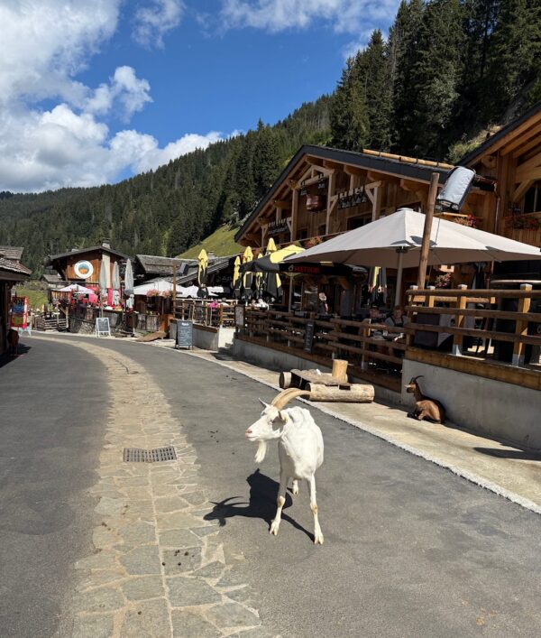le village des chèvres les lindarets
