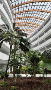 Ramla Bay Resort Malta