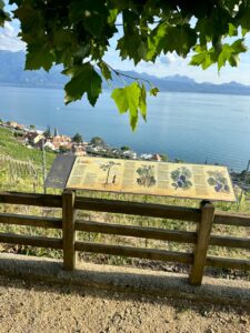 le lavaux blog suisse