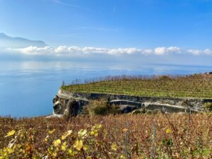 le lavaux blog suisse