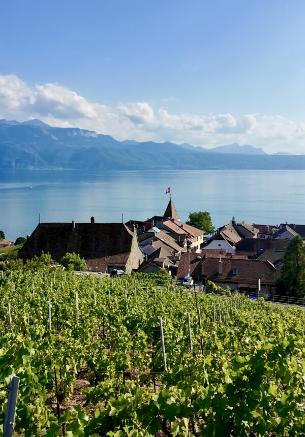 le lavaux blog suisse