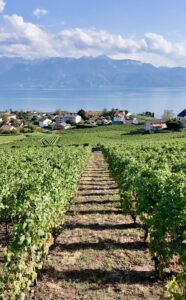 le lavaux blog suisse